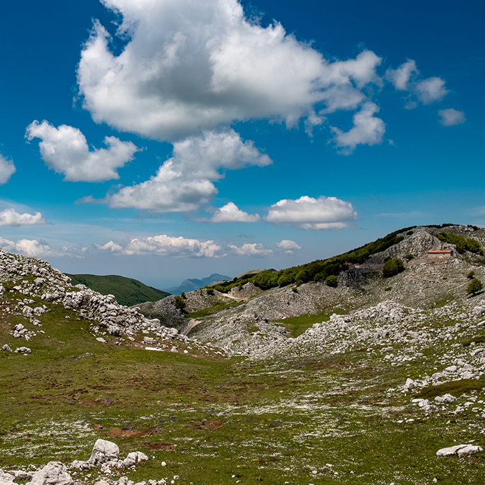 Monte Cervati