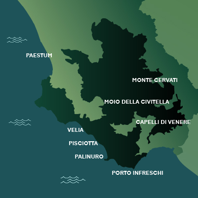 Cilento